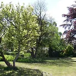 Inn Mikkelborg