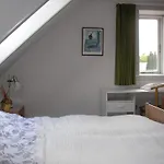 Mikkelborg Inn Rodding