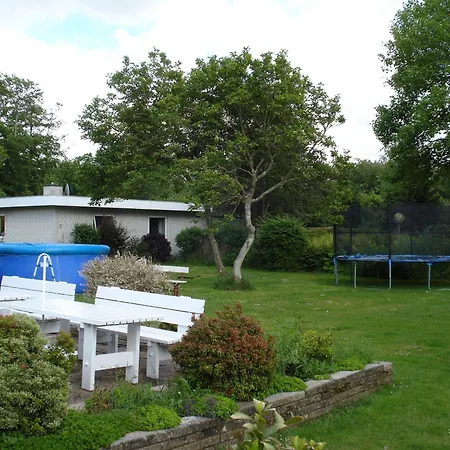 Inn Mikkelborg