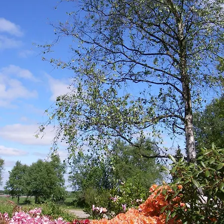 Mikkelborg 3*